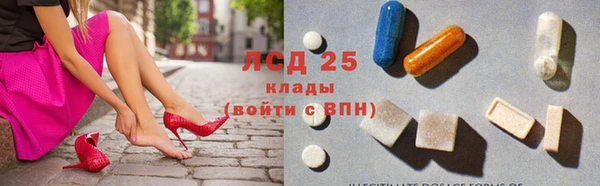 PSILOCYBIN Нефтегорск