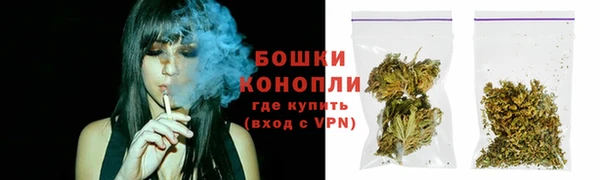 крисы Нея