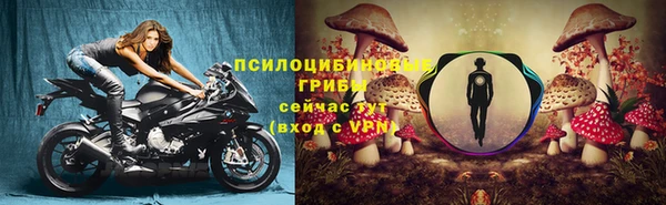 PSILOCYBIN Нефтегорск