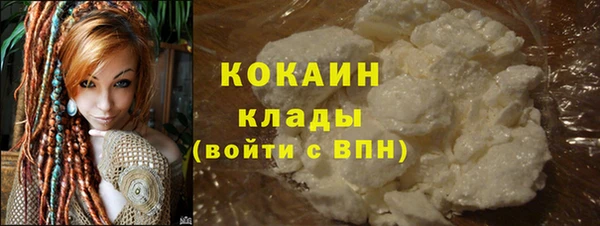 крисы Нея
