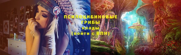 крисы Нея