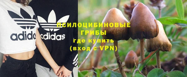 крисы Нея
