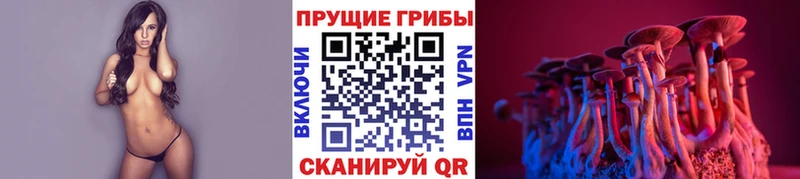 Псилоцибиновые грибы GOLDEN TEACHER Краснозаводск
